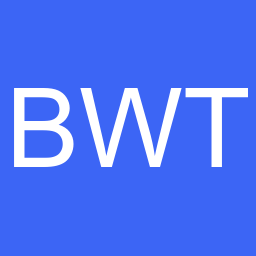 Beyond Wise Technology Solutions
