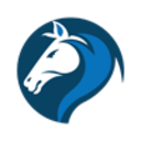 Indian SEO Company