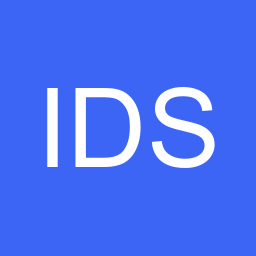 INS Digital Solutions