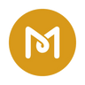 MS Web Designer